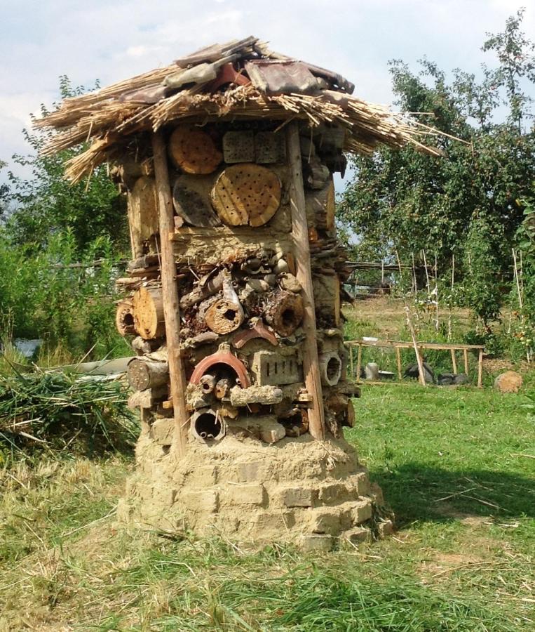 Biohof Am Turawa-See Szczedrzyk ภายนอก รูปภาพ