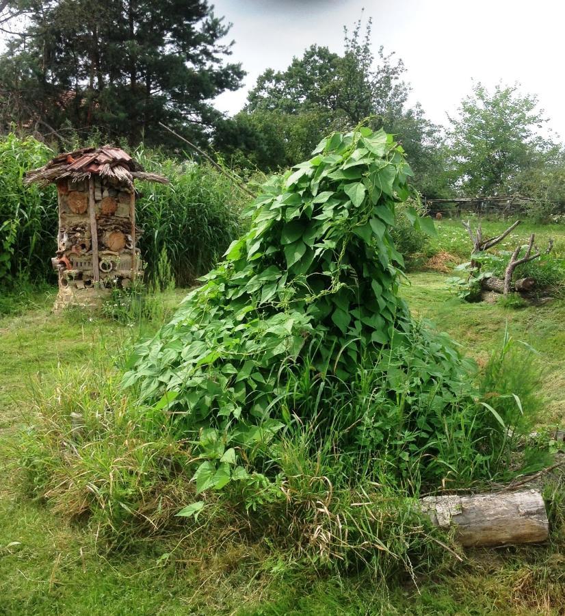 Biohof Am Turawa-See Szczedrzyk ภายนอก รูปภาพ