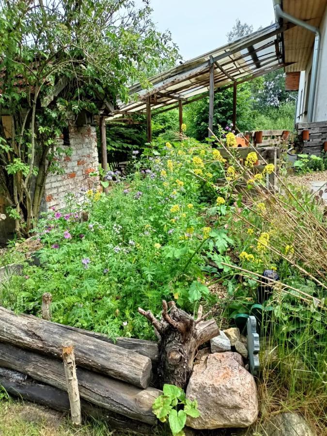Biohof Am Turawa-See Szczedrzyk ภายนอก รูปภาพ