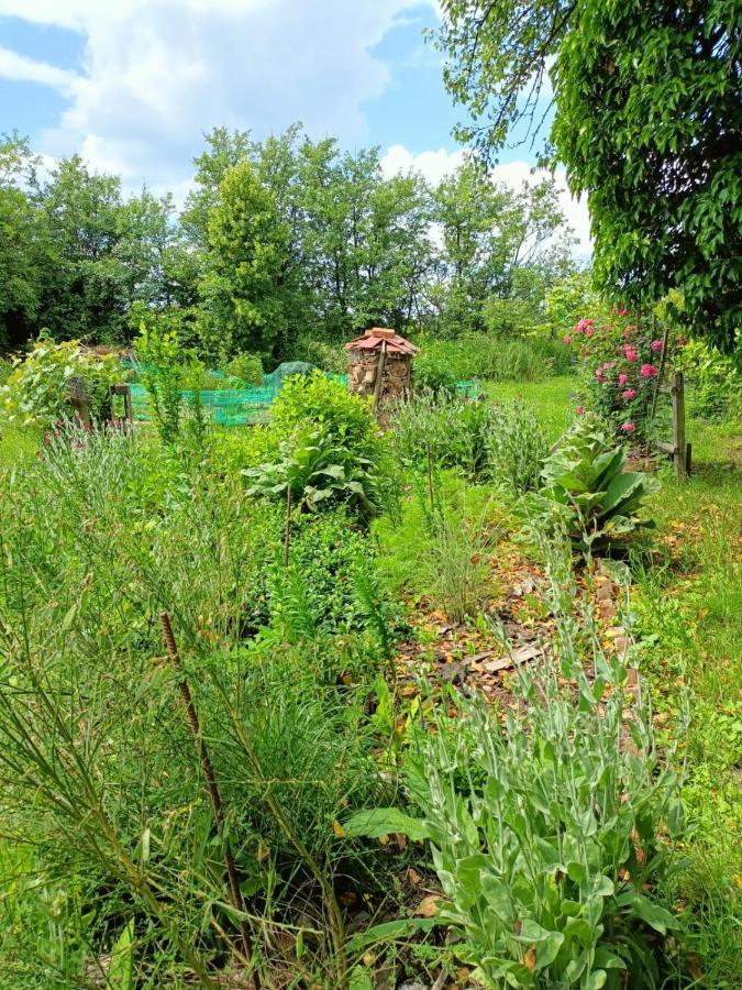 Biohof Am Turawa-See Szczedrzyk ภายนอก รูปภาพ